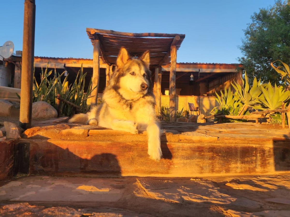 Frontier River Resort Vioolsdrif Bagian luar foto